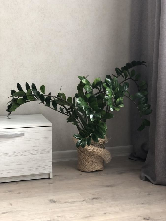 Апартаменты GomelHome Apartment Гомель