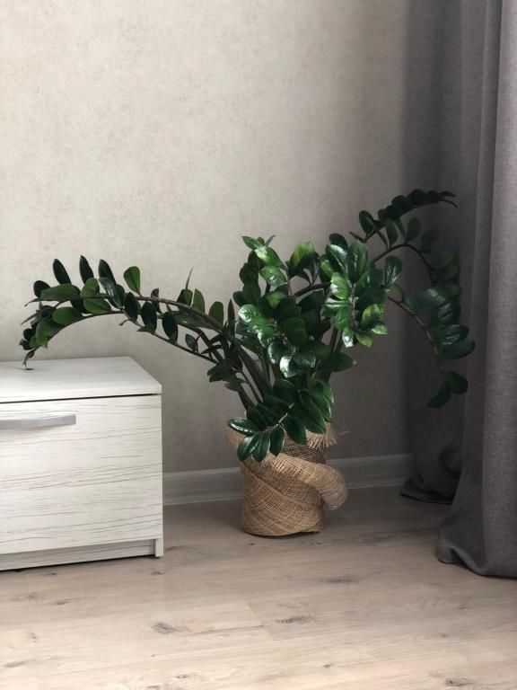 Апартаменты GomelHome Apartment Гомель