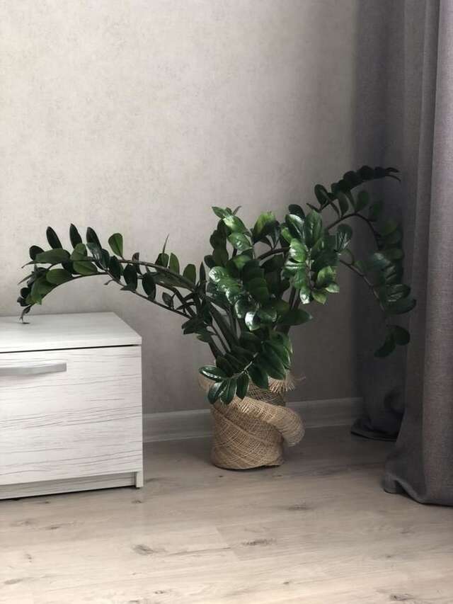 Апартаменты GomelHome Apartment Гомель-33