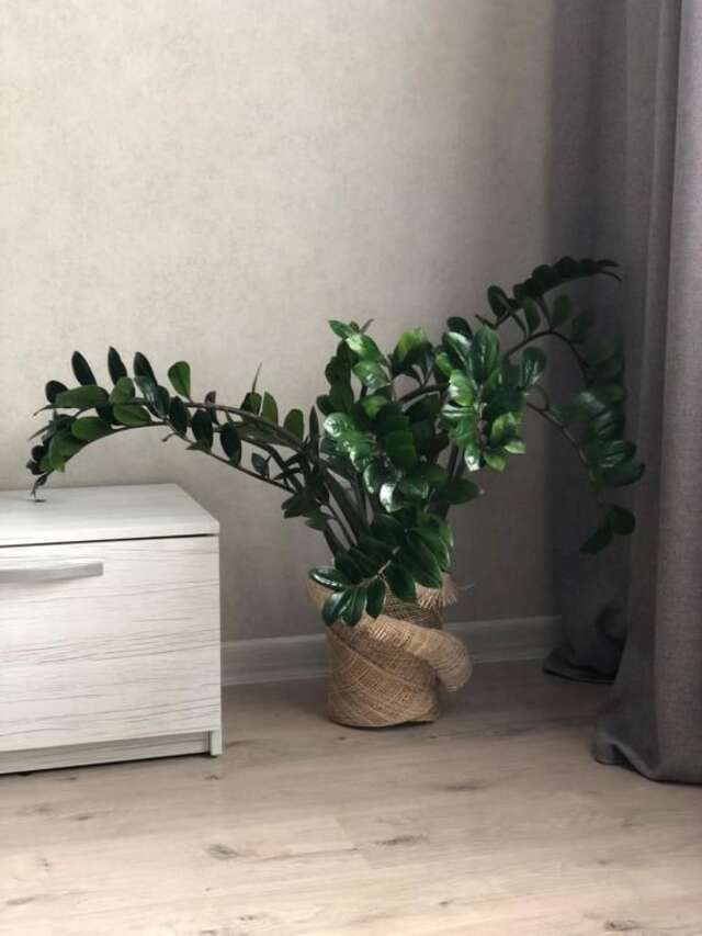 Апартаменты GomelHome Apartment Гомель-74